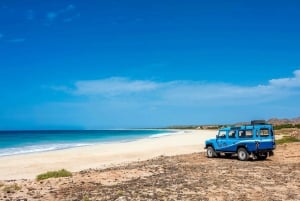 Half Day 4x4 Tour with Viana Desert and Villages