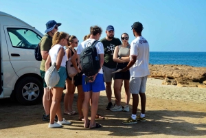 رحلة نصف يوم شاملة كليًا إلى ساليناس، خليج شارك، العين الزرقاء