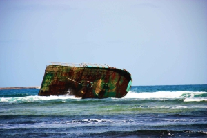 رحلة نصف يوم شاملة كليًا إلى ساليناس، خليج شارك، العين الزرقاء