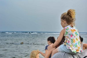 رحلة نصف يوم شاملة كليًا إلى ساليناس، خليج شارك، العين الزرقاء