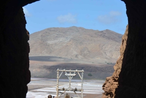 رحلة نصف يوم شاملة كليًا إلى ساليناس، خليج شارك، العين الزرقاء