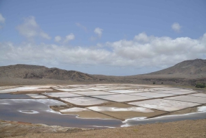 رحلة نصف يوم شاملة كليًا إلى ساليناس، خليج شارك، العين الزرقاء