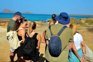 رحلة نصف يوم شاملة كليًا إلى ساليناس، خليج شارك، العين الزرقاء