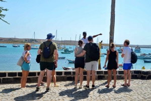 رحلة نصف يوم شاملة كليًا إلى ساليناس، خليج شارك، العين الزرقاء