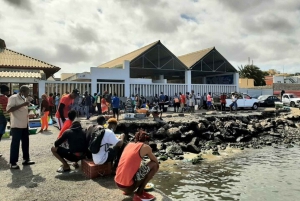 Mindelo: Sao Vicente Guided Highlights Half-Day Tour