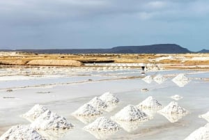 Høydepunkter fra Sal-turen med 4x4 og katamaran