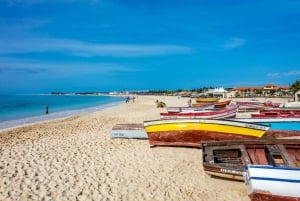 Høydepunkter fra Sal-turen med 4x4 og katamaran