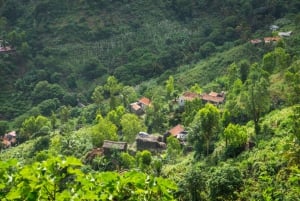Serra Malagueta Natural Park: Hike to Gongon Valley & Lunch