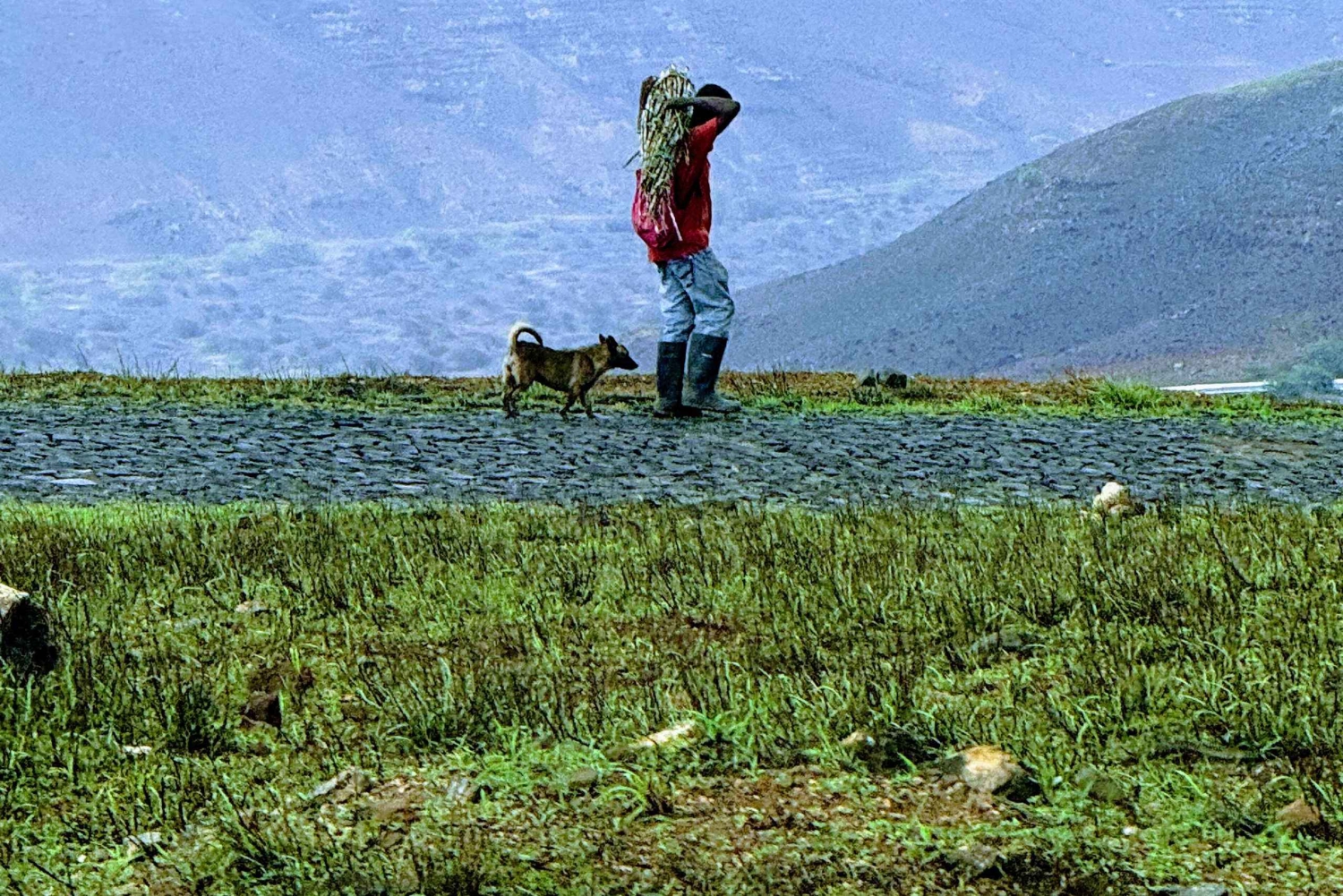 Escursione Monte Verde