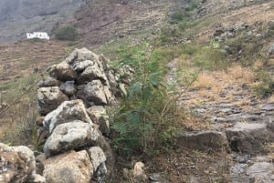 Hike Monte Verde