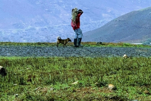 Escursione Monte Verde