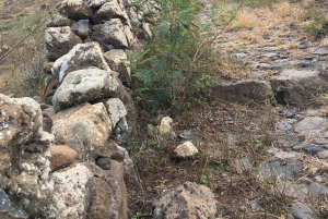 Escursione Monte Verde