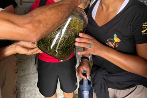 Escursione Monte Verde