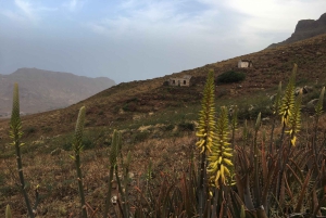 Escursione Monte Verde