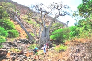 Nature Hike to Cidade Velha
