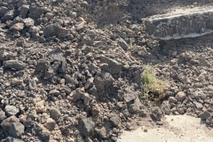 ヴィアナ火山をハイキング