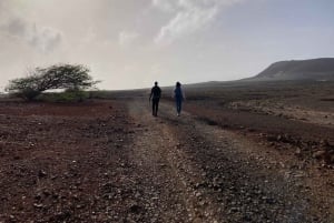 ヴィアナ火山をハイキング
