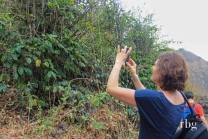 Vandring: Fra Serra Malagueta til Rabelados-fellesskapet