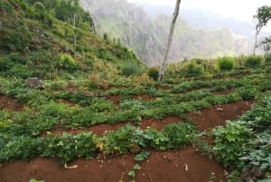 Vandring: Fra Serra Malagueta til Rabelados-fellesskapet