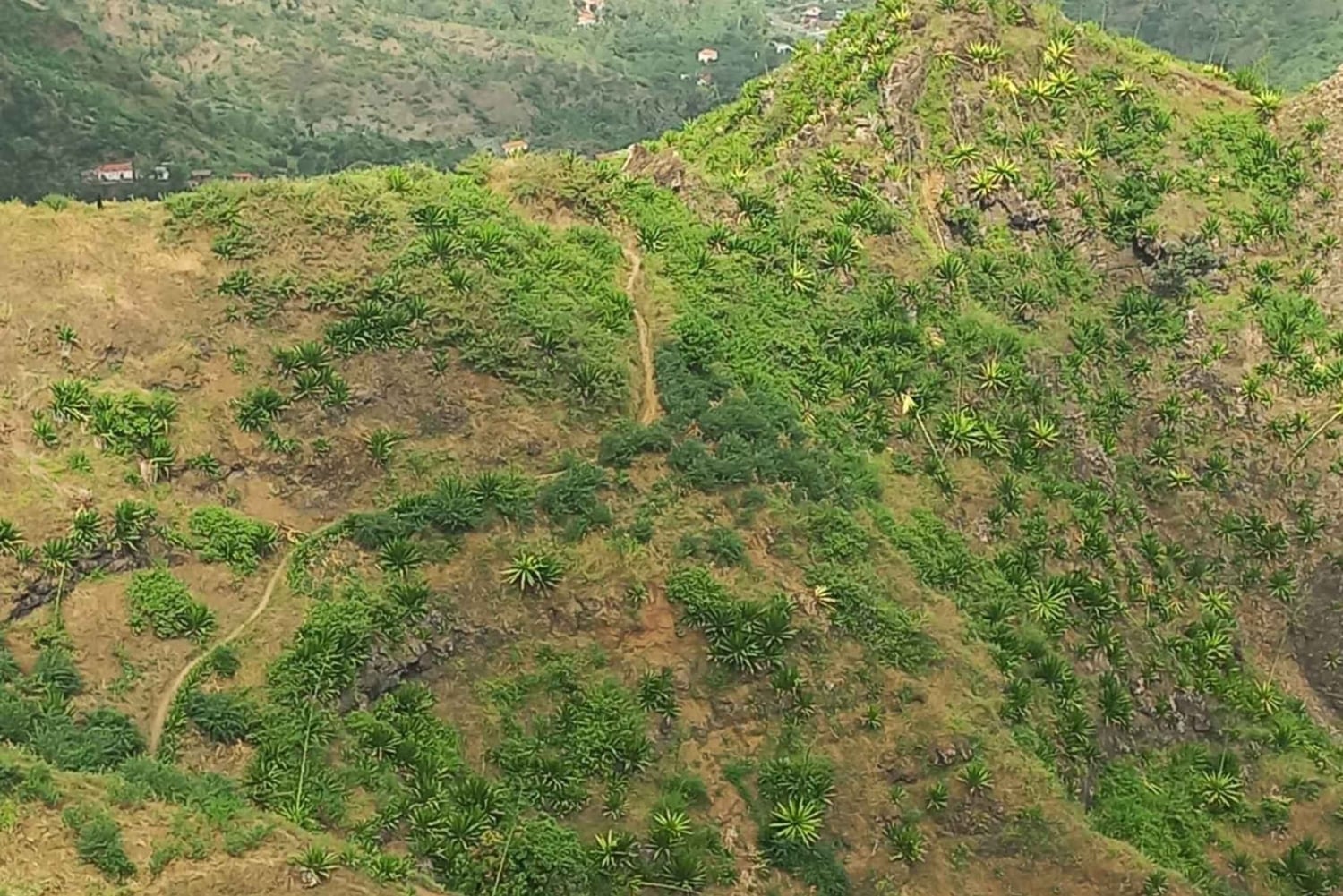 المشي لمسافات طويلة: من Serra Malagueta إلى Ribeira Principal