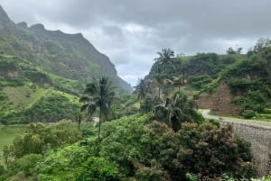 Hiking: From Serra Malagueta to Ribeira Principal