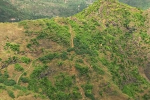 المشي لمسافات طويلة: من Serra Malagueta إلى Ribeira Principal
