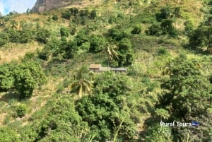 المشي لمسافات طويلة: من Serra Malagueta إلى Ribeira Principal