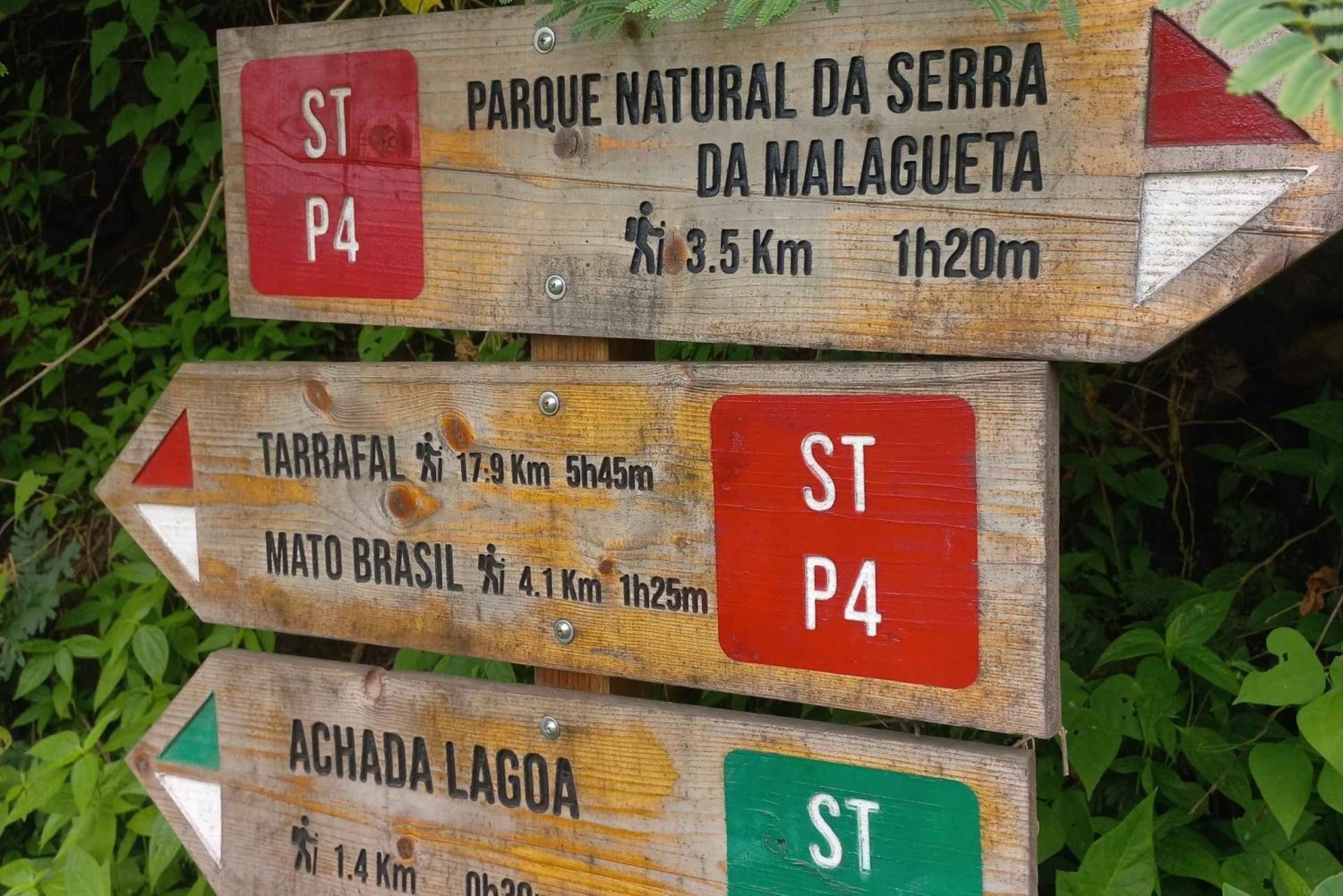 Hiking Serra Malagueta Natural Park