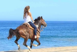 Horseback riding in Boavista for beginners