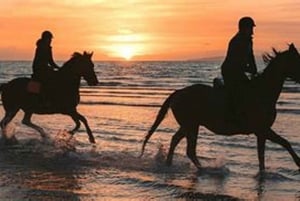 Horseback riding in Boavista for beginners