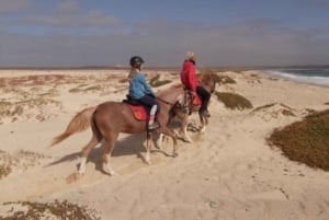 Horseback riding in Boavista for beginners