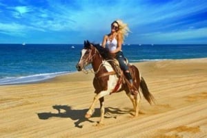 Horseback riding in Boavista for beginners