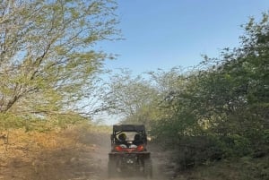 Santa María: Excursión en Buggy/Quad con guía local - Excursión de día completo