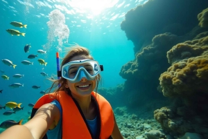 Ilha Do Sal: snorkeling con guida locale
