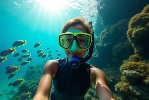 Ilha Do Sal: snorkeling con guida locale