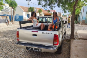 Passeio pela ilha e gado e degustação de sabores locais
