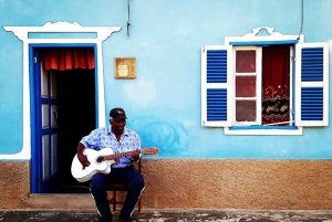Passeio pela ilha e gado e degustação de sabores locais