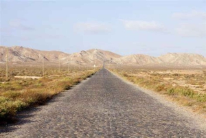 Passeio pela ilha e gado e degustação de sabores locais