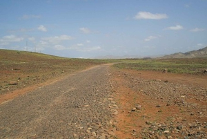 Passeio pela ilha e gado e degustação de sabores locais
