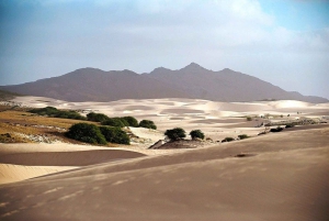 Passeio pela ilha e gado e degustação de sabores locais