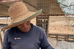 Passeio pela ilha e gado e degustação de sabores locais