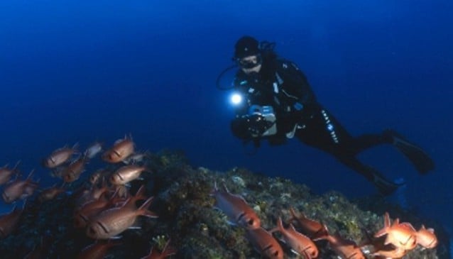Manta Diving Center