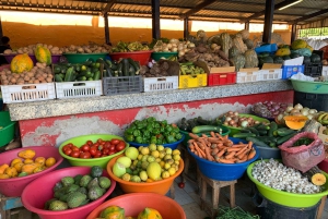 Mindelo Cultural: city tour with live music and tasting