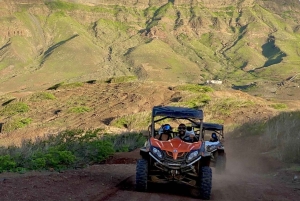 مينديلو: جولة ليلية مع مشروبات ووجبات خفيفة