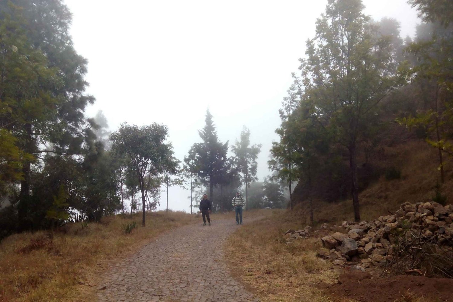 Randonnée du cratère de Cova à la vallée de Paúl – Île de Santo Antão
