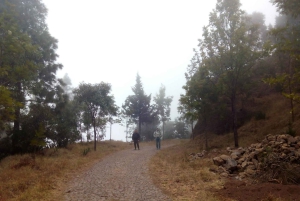 Randonnée du cratère de Cova à la vallée de Paúl – Île de Santo Antão