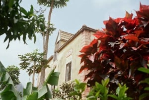 Randonnée du cratère de Cova à la vallée de Paúl – Île de Santo Antão