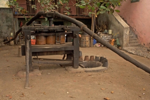 Randonnée du cratère de Cova à la vallée de Paúl – Île de Santo Antão