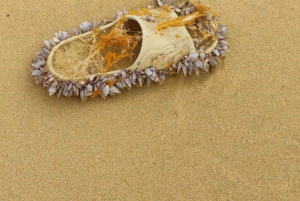 Mindelo: Sea Breeze Wandeling tussen de vulkanen door