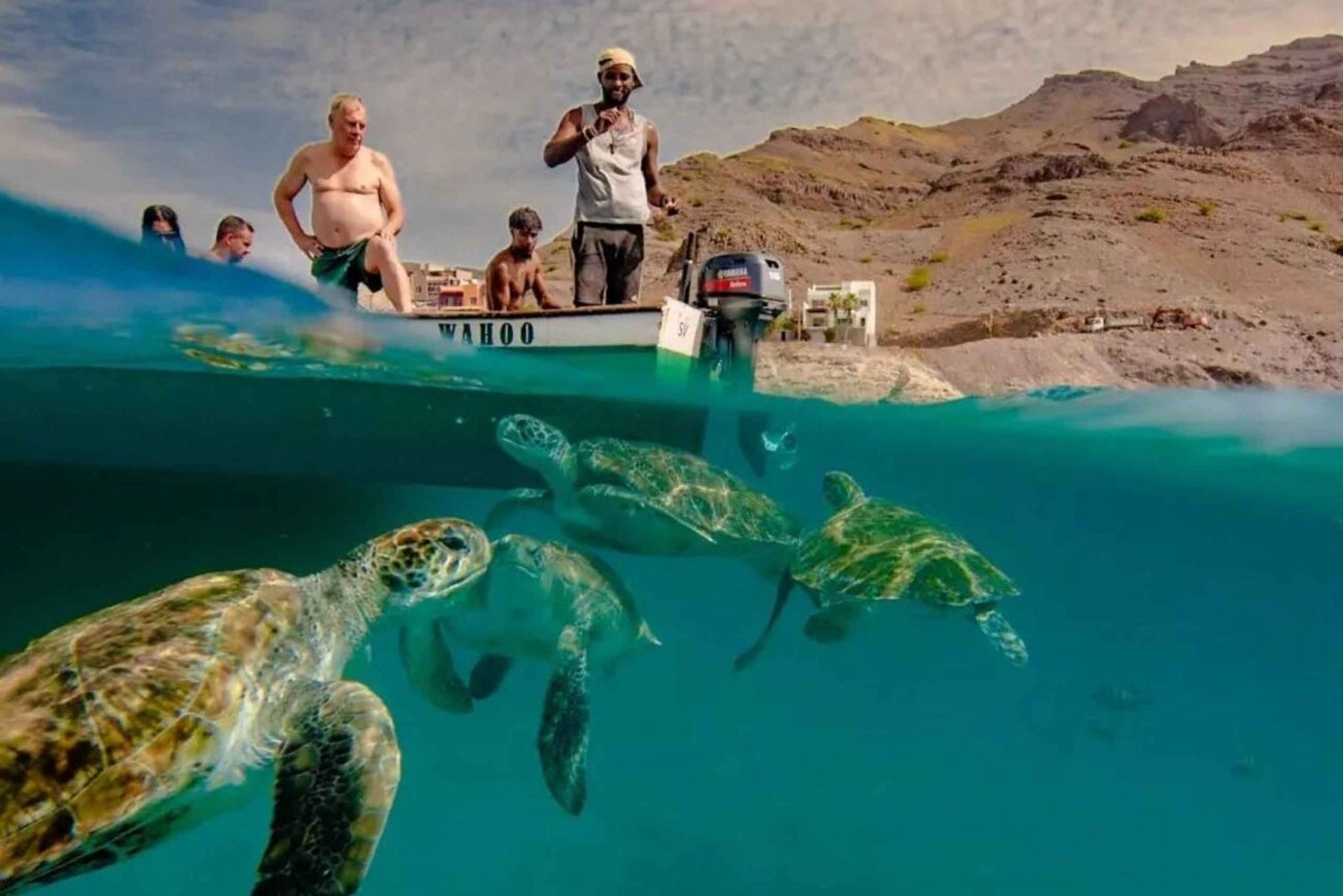 Mindelo: Sea Turtles experience